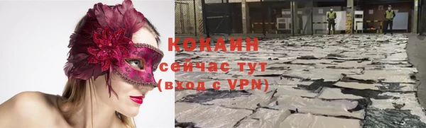 ГАЛЛЮЦИНОГЕННЫЕ ГРИБЫ Беломорск