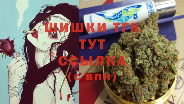 прущие крисы Белокуриха
