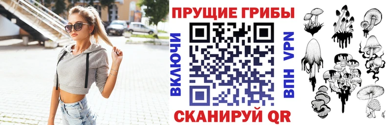 Галлюциногенные грибы прущие грибы  Купить где  Спас-Деменск 
